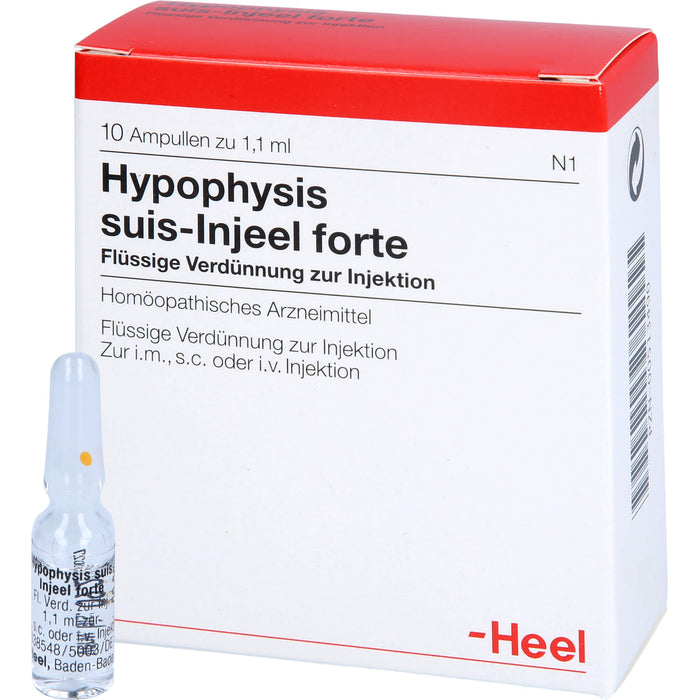 Hypophysis suis-Injeel forte Ampullen, 10 St. Ampullen