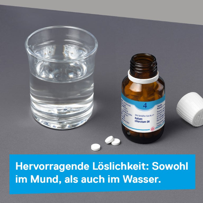 DHU Schüßler-Salz Nr. 4 Kalium chloratum D12 – Das Mineralsalz der Schleimhäute – das Original – umweltfreundlich im Arzneiglas, 900 pc Tablettes