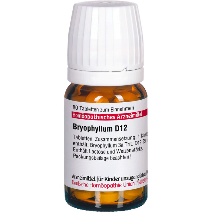 Bryophyllum D12 DHU Tabletten, 80 St TAB