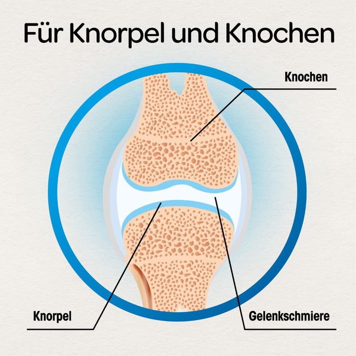 Dr Böhm Gelenke & Knorpel Tabletten, 120 pcs. Tablets