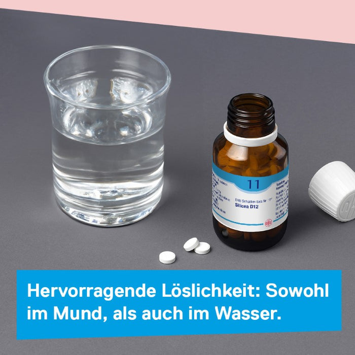 DHU Schüßler-Salz Nr. 11 Silicea D12 – Das Mineralsalz der Haare, der Haut und des Bindegewebes – das Original – umweltfreundlich im Arzneiglas, 80 pc Tablettes