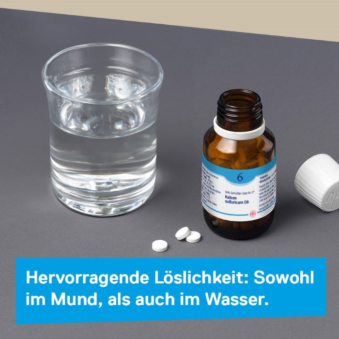 DHU Schüßler-Salz Nr. 6 Kalium sulfuricum D6 – Das Mineralsalz der Entschlackung – das Original – umweltfreundlich im Arzneiglas, 200 pcs. Tablets