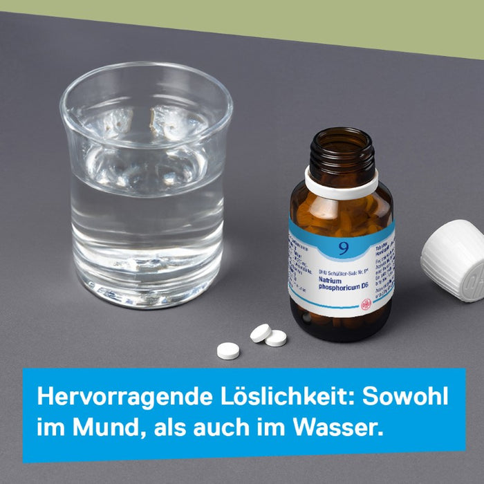 DHU Schüßler-Salz Nr. 9 Natrium phosphoricum D12 – Das Mineralsalz des Stoffwechsels – das Original – umweltfreundlich im Arzneiglas, 200 St. Tabletten