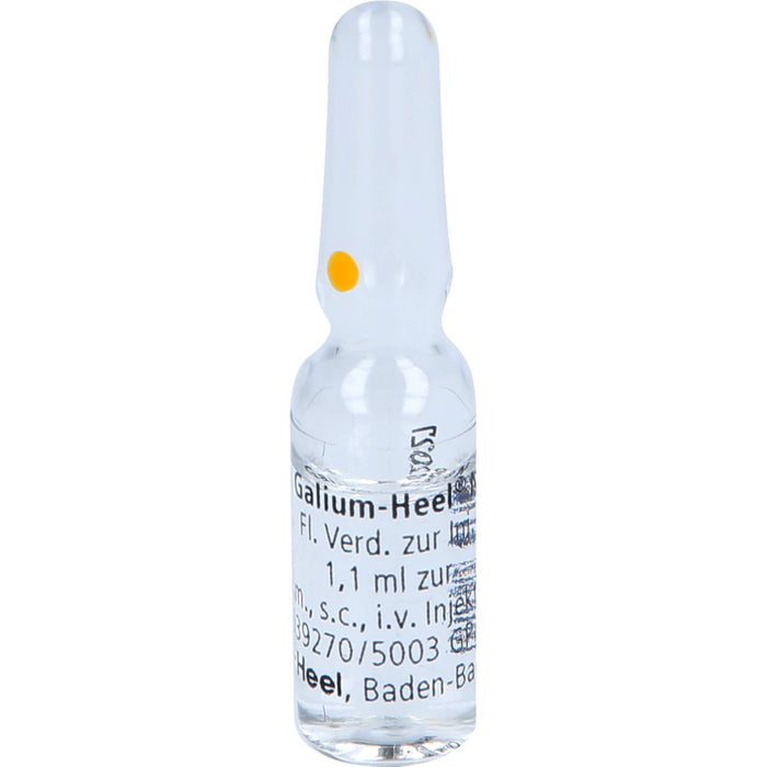 Galium-Heel N Ampullen, 10 pc Ampoules