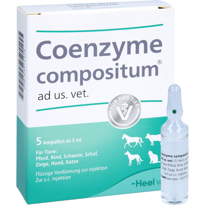 Heel Coenzyme compositum ad us. vet. Ampullen, 5 pc Ampoules