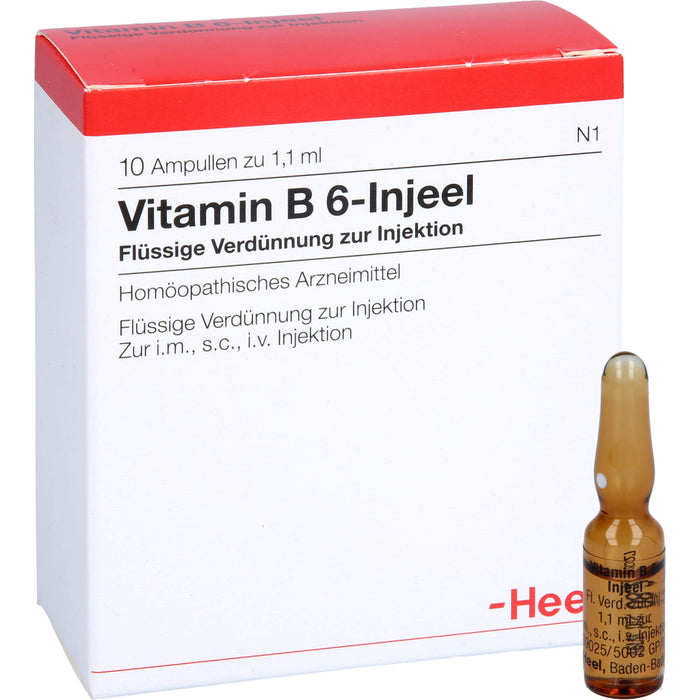 Vitamin B 6 Injeel flüssige Verdünnung, 10 St. Ampullen