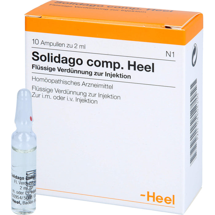 Solidago comp. Heel Ampullen, 10 St. Ampullen