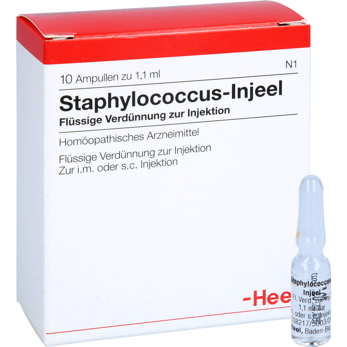 Heel Staphylococcus-Injeel flüssige Verdünnung zur Injektion, 10 pc Ampoules