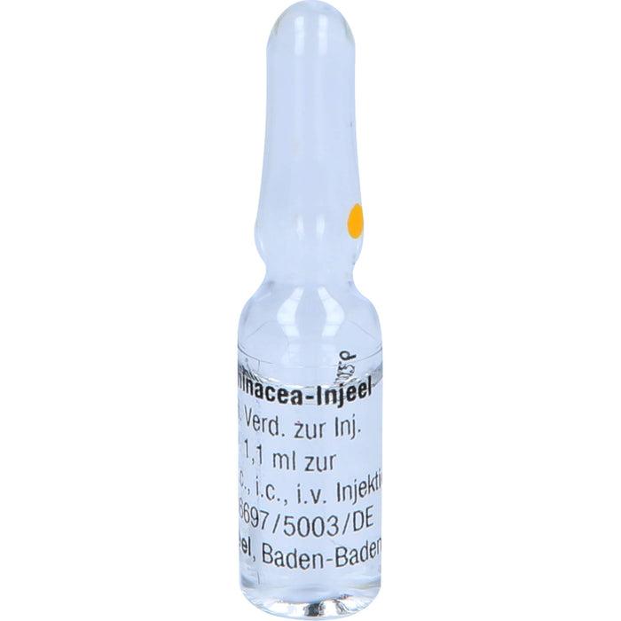 Echinacea-Injeel flüssige Verdünnung, 10 pc Ampoules