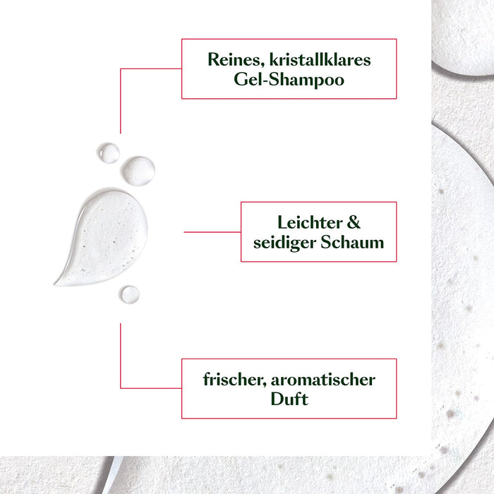 RENE FURTERER NEOPUR Ausgleichendes Anti-Schuppen Shampoo für fettige Schuppen & Kopfhaut - bei Schuppen, 150 ml Shampoo