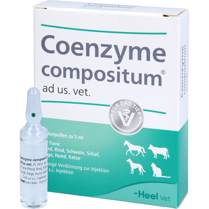 Heel Coenzyme compositum ad us. vet. Ampullen, 5 pc Ampoules