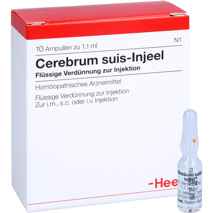 Cerebrum suis-Injeel flüssige Verdünnung, 10 pcs. Ampoules