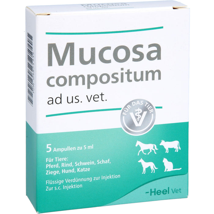 Heel Mucosa compositum ad us. vet. Ampullen, 5 pcs. Ampoules