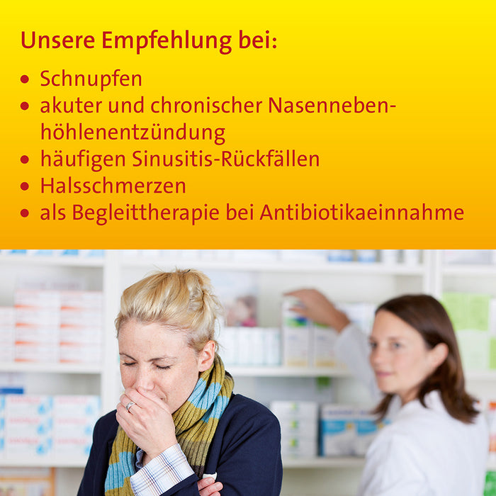 Sinusitis Hevert SL bei Schnupfen und Entzündungen der Nasennebenhöhlen, 300 St. Tabletten