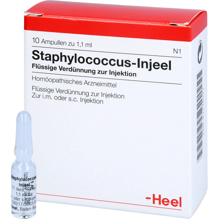 Heel Staphylococcus-Injeel flüssige Verdünnung zur Injektion, 10 pcs. Ampoules