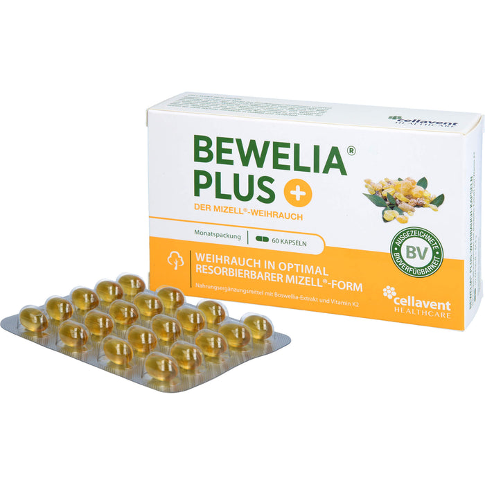 Bewelia Plus, 60 St WKA